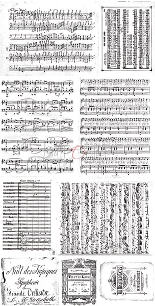 Potištěný velum 6 - 4 ks