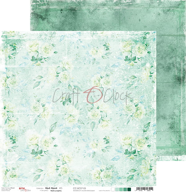 Mint Mood 12x12" - 6 ks