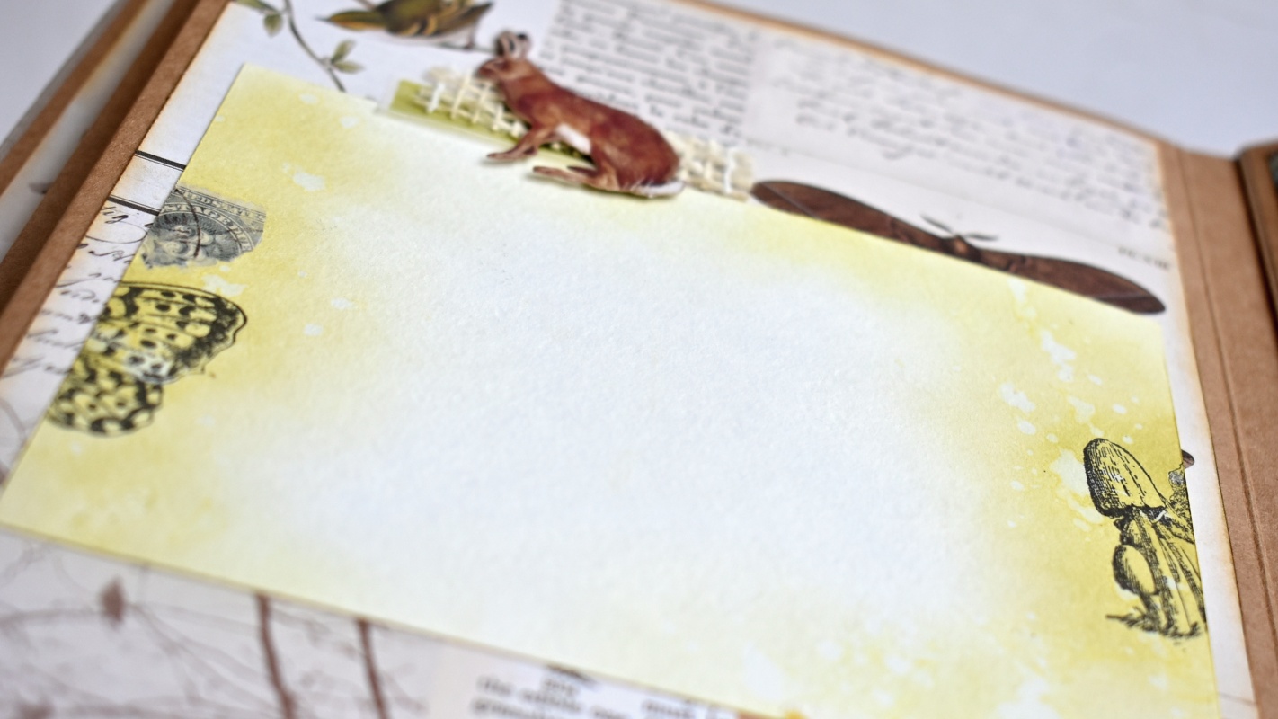 Fotoalbum No.164 ... Z lesa a louky/Curators Meadow