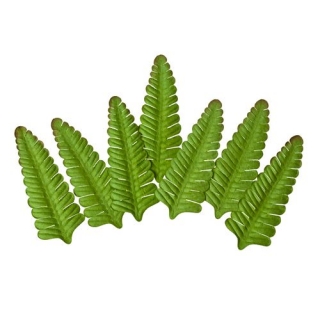 Listy Fern