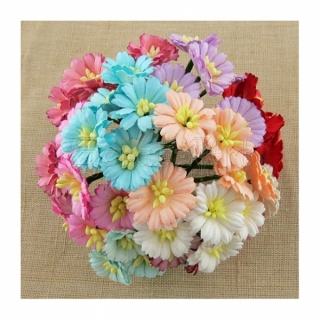 Mixed Colour Cosmos Daisy 2,5 cm - 10 ks
