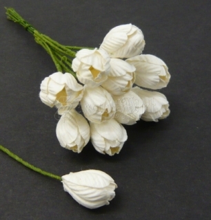White Tulip Flowers - 5 ks