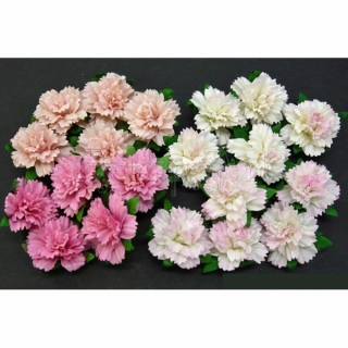 Mixed Pink Carnation Flowers 2,5 cm - 4 ks
