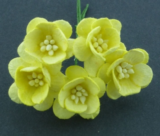 Yellow Cherry Blossoms 2,5 cm - 5 ks