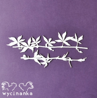 Liána/Look Around - 2 ks