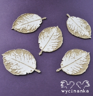 Listy 1 velké/The Look of Nature - 5 ks